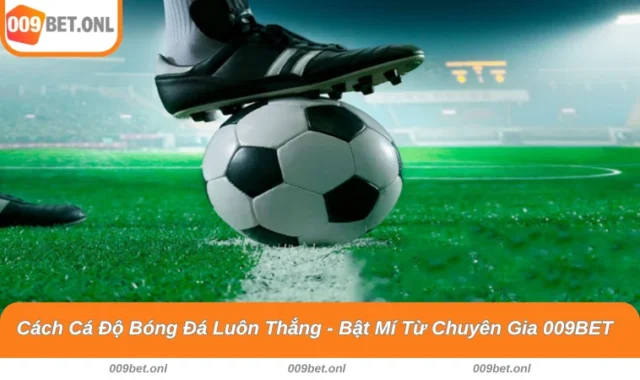 Cách Cá Độ Bóng Đá Luôn Thắng