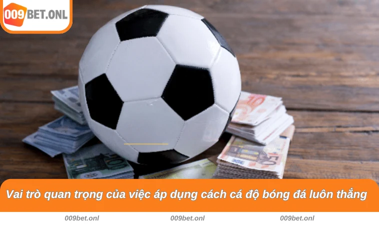 Vai trò quan trọng của việc áp dụng cách cá độ bóng đá luôn thắng