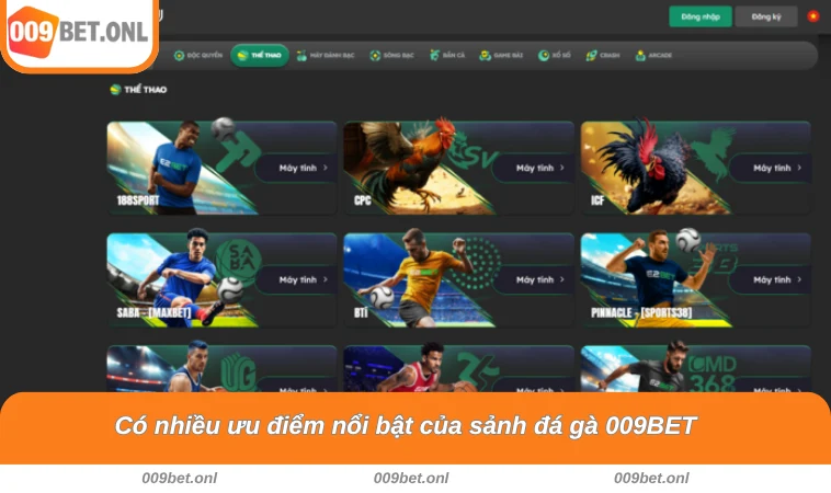 Có nhiều ưu điểm nổi bật của sảnh đá gà 009BET