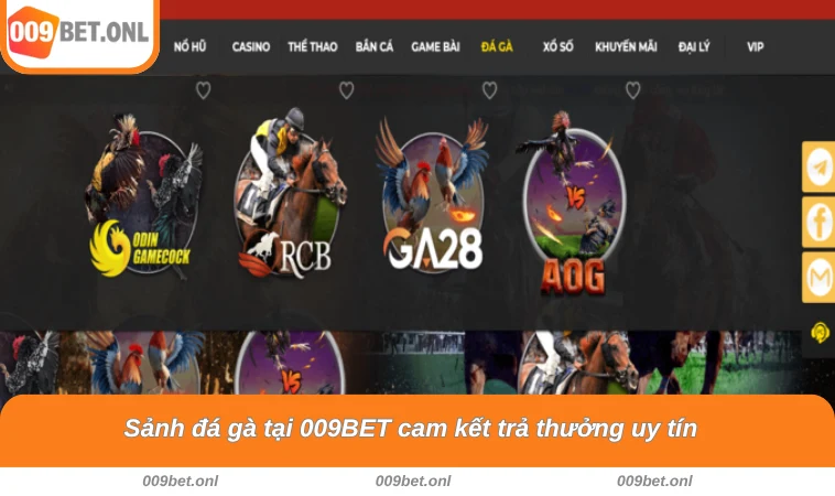 Sảnh đá gà tại 009BET cam kết trả thưởng uy tín