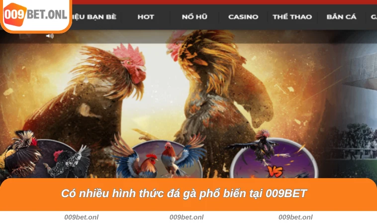 Có nhiều hình thức đá gà phổ biến tại 009BET